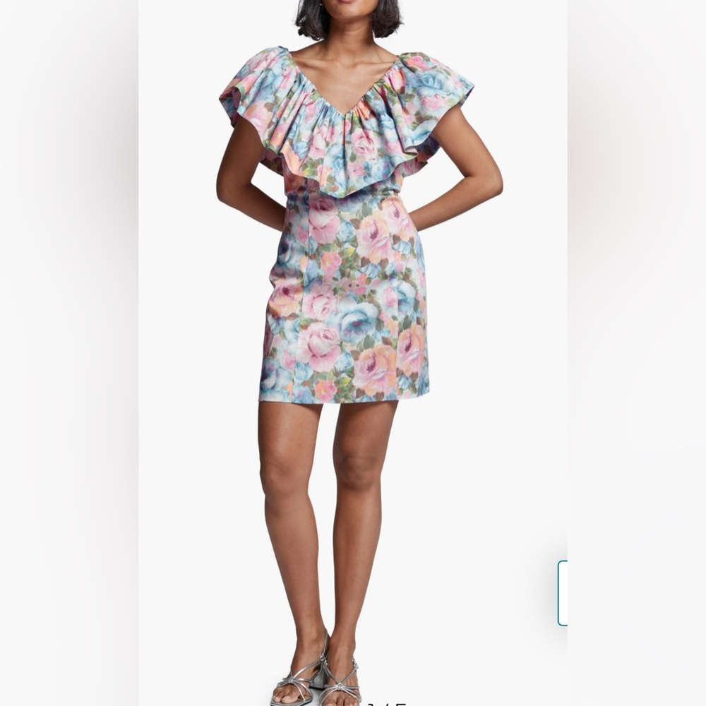 & Other Stories Floral Puff Ruffle Sleeve Minidress | Sz 32/ US 2 Party Cocktail